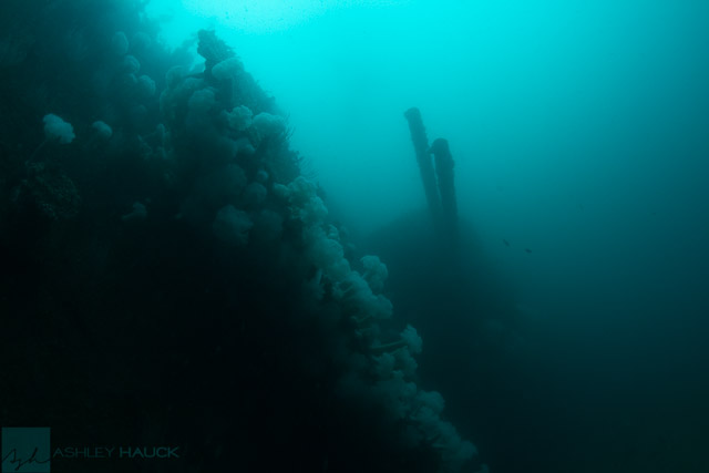 HMCS Yukon Wreck, San Diego, California