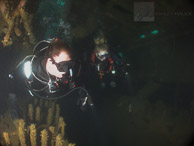 Ruby E Wreck / Ruby E wreck, Wreck Alley, San Diego, California: Divers inside the engine room.