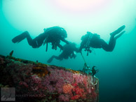 Ruby E Wreck / Ruby E wreck, Wreck Alley, San Diego, California: Divers ascending on the stern line.