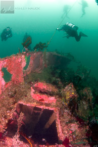 Bow of the Ruby E / Ruby E wreck, Wreck Alley, San Diego, California: Hatch to crew berths and divers on the bowline.