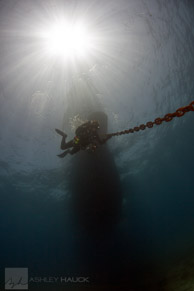 Diver under the Nautilus Explorer, Sea of Cortez, Mexico