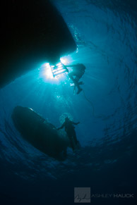 Divers under the Nautilus Explorer, Sea of Cortez, Mexico