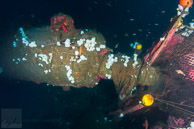 Aft of UB-88 Sub / San Pedro Bay, California: Ghost nets on UB-88 sub's stern