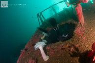 Diver penetrating HMCS Yukon wreck