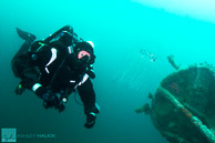 Diver and jellyfish on HMCS Yukon
