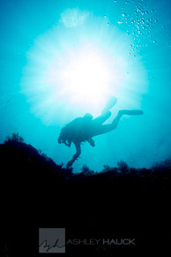 Diver at La Reina, Sea of Cortez, Mexico