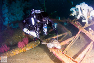 Spearfishing on the Missile Tower / San Diego, California: Diver spearfishing lingcod on the Missile Tower wreck near the US-Mexico Border.