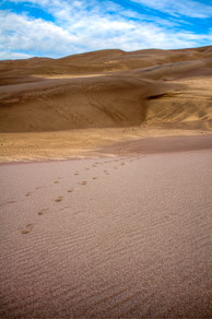 Sand Dunes / Great Sand Dunes National Park, Colorado: The dunes on a sunny day